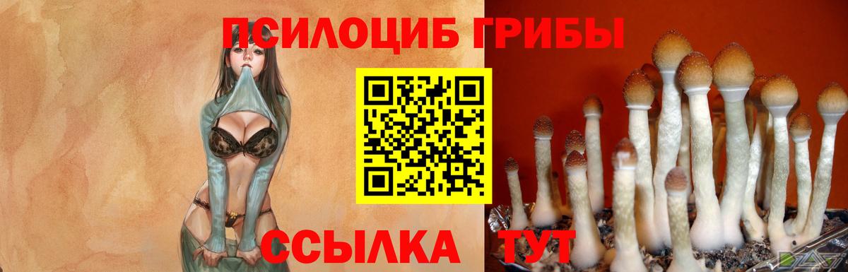 Галлюциногенные грибы Magic Shrooms Кострома